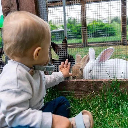 Apartman Donovall Dóval