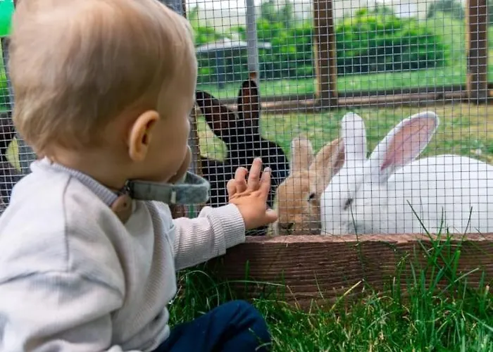 Apartmán Donovall Donovaly